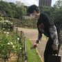 ユンジ